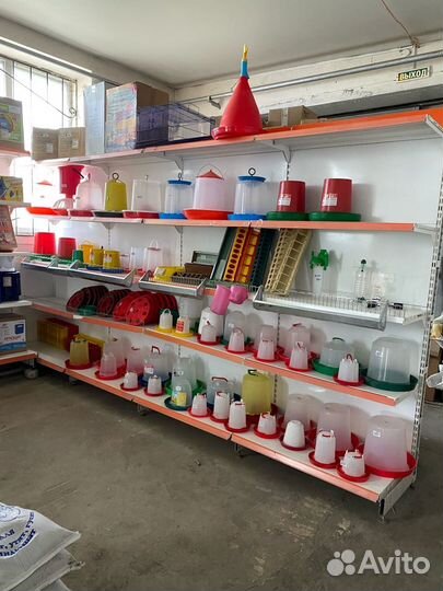 Премикс Голубь