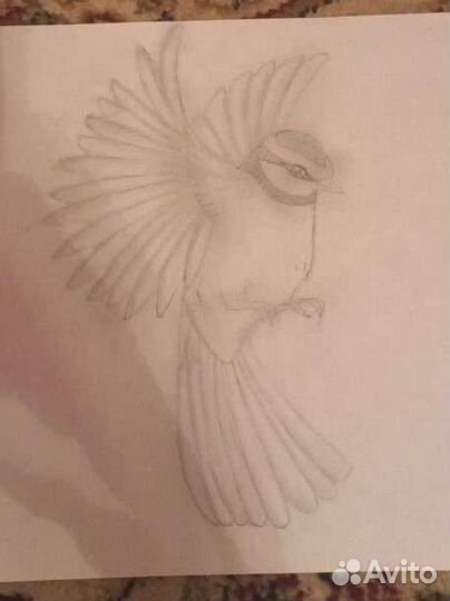 Рисую скетчи на заказ