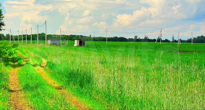 Участок 8 сот. (ИЖС)