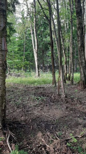 Участок 16 сот. (СНТ, ДНП)