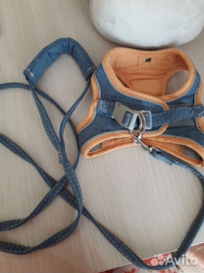 Шлейка для кошки и мелких собак