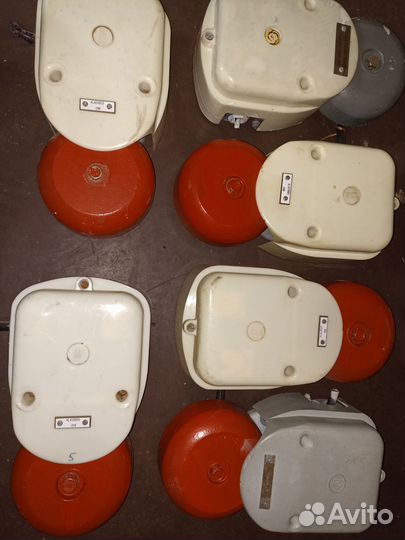 Звонок морской. Польша