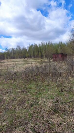 Участок 5 сот. (СНТ, ДНП)