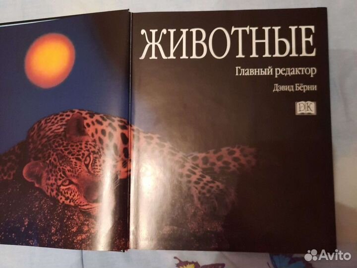 Иллюстрированная энциклопедия животных всего мира