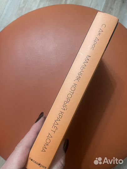 Книга мальчик который крадет дома,С.Дж.Дрюс