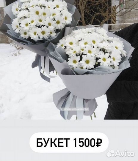 Хризантема кустовая букет из хризантем