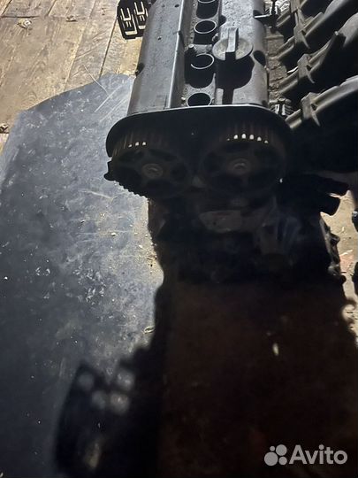 Двигатель 1.6 на ford focus