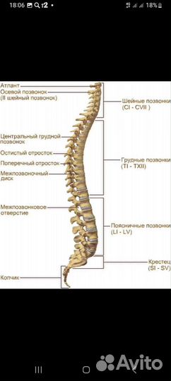 Детский массаж на дому у заказчика