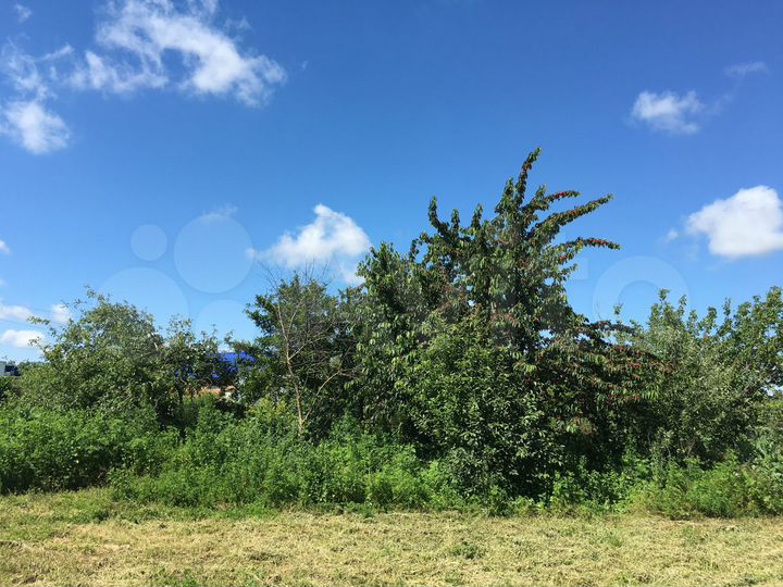 Участок 40 сот. (ИЖС)