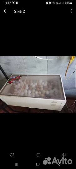 Инкубатор (Норма сезам 2)на 90 яиц