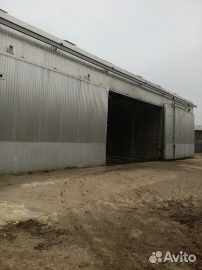 Сушка доски