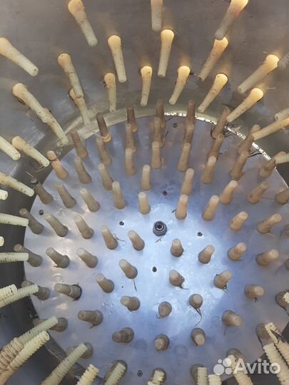 Перосъемная машина для бройлеров