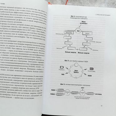 Биохакинг мозга Дэйв Эспри книга миф