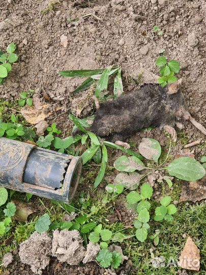 Уничтожение. Обработка.тараканов. клопов.ос.крыс