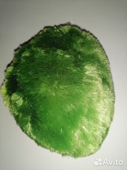 Авокадо-мягкая игрушка