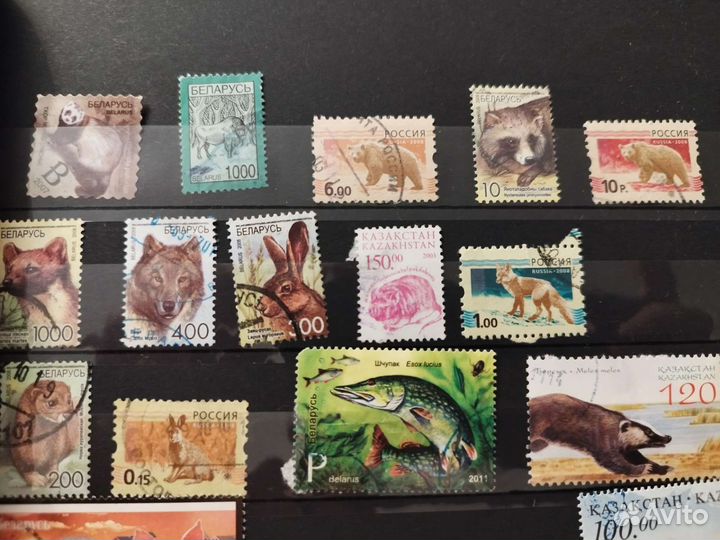Почтовые марки(Россия, Беларусь, Казахстан)