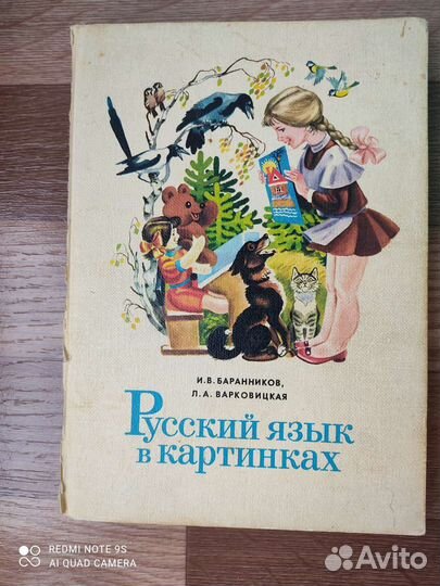 Русский язык в картинках