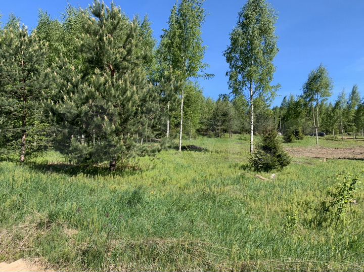 Участок 60 сот. (ИЖС)