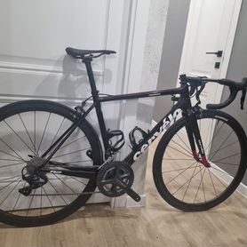 Cervelo R2 2017 size 51