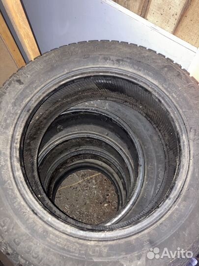 Gislaved Nord Frost 200 195/65 R15