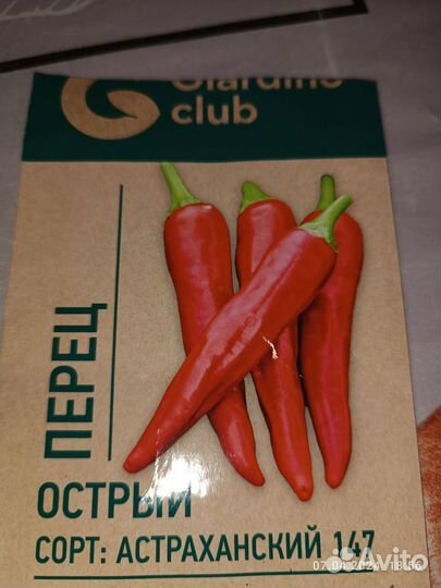 Рассада острого перца