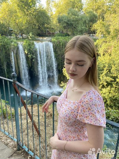 Репетитор по информатике и математике