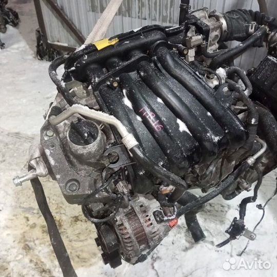 Двигатель Nissan Tiida C11 HR16