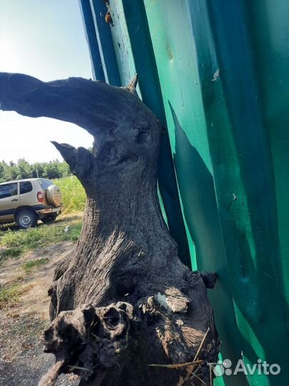 Топляк декоративный