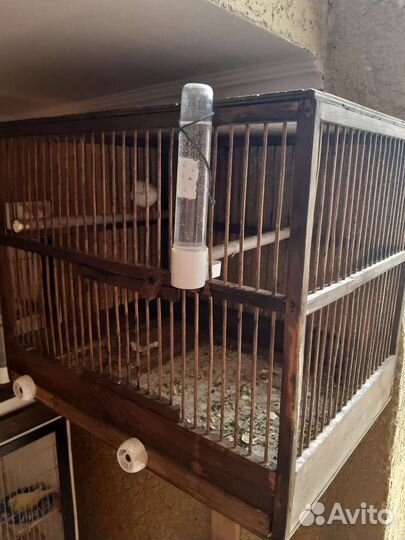 Клетка для канареек