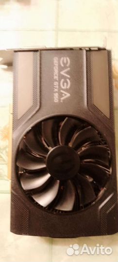 Видеокарта gtx 950