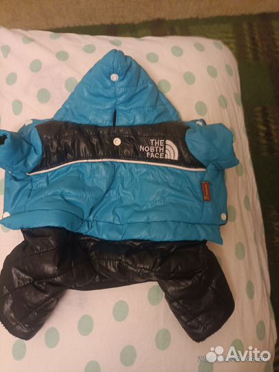 Одежда для маленьких собак