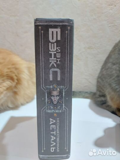 Иэн Бэнкс - несущественная деталь