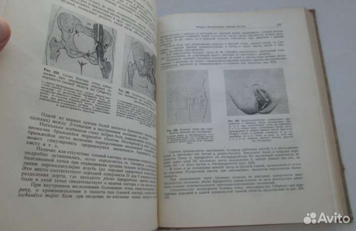 Мандельштам 