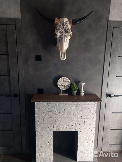 Череп быка настоящий