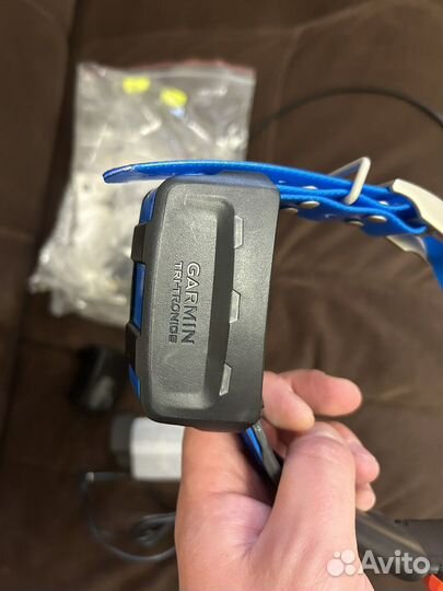Gps ошейник для собак garmin