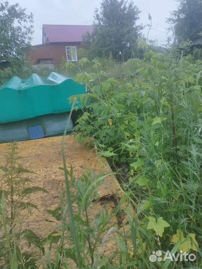 Лодки стеклопластиковые