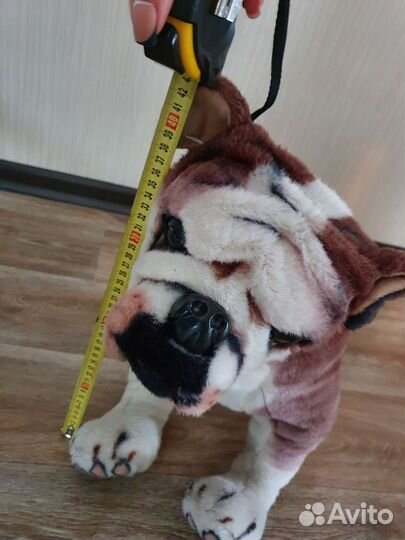 Английский бульдог, мягкая игрушка