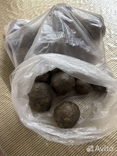 Мёд, перга, прополис