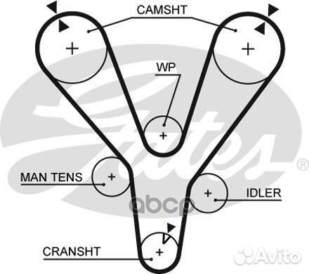 Ремень грм 207зуб,32mm 5555XS Gates