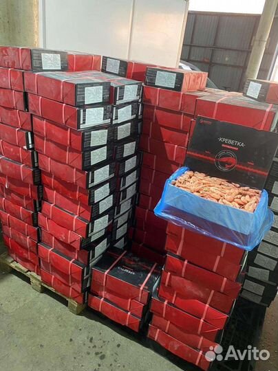 Креветка Магаданская