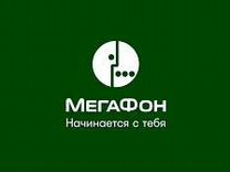 Директор салона Мегафон (г. Видное)