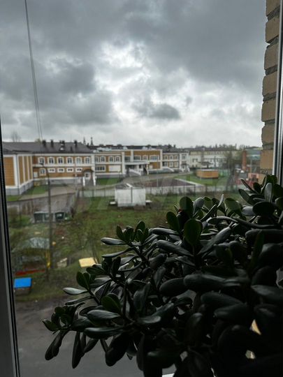 2-к. квартира, 50 м², 3/3 эт.