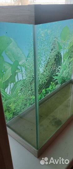 Аквариум 60л
