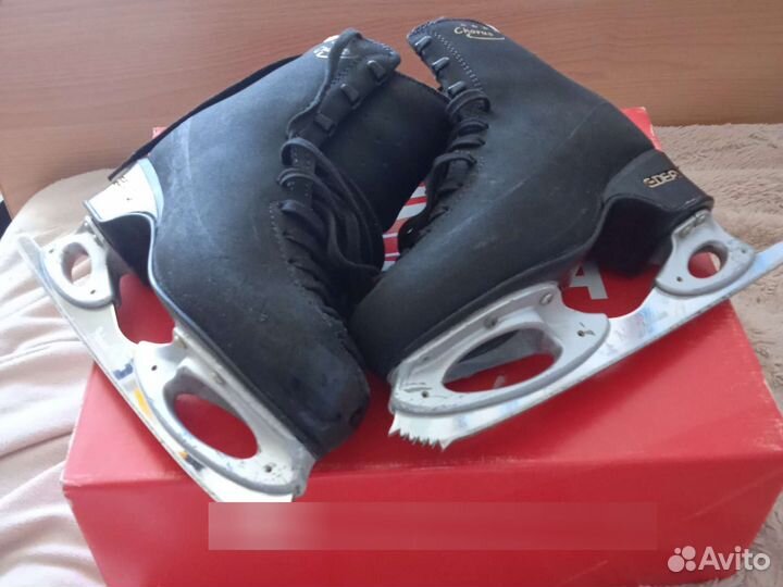 Фигурные коньки edea chorus 230