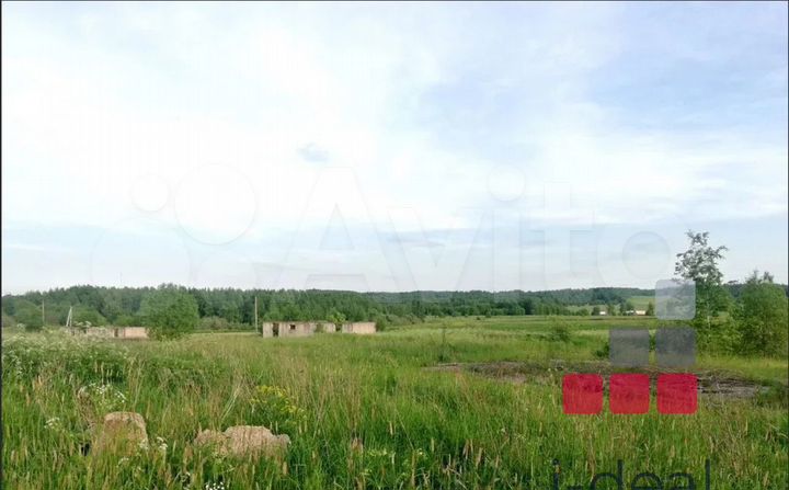 Участок 295 га (СНТ, ДНП)