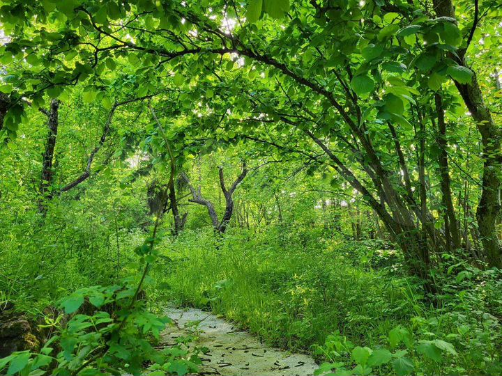 Дом 94,2 м² на участке 17 сот.