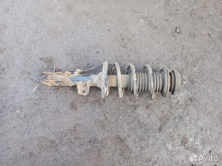 Амортизатор передний правый Kia RIO 3