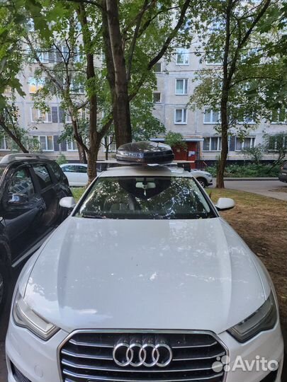 Прокат автобокса на крышу Thule Dynamic 800 M