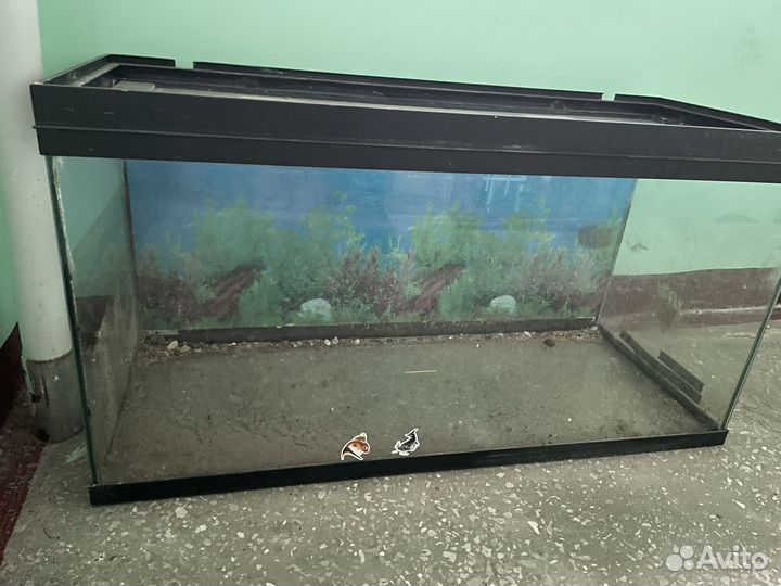 Аквариум