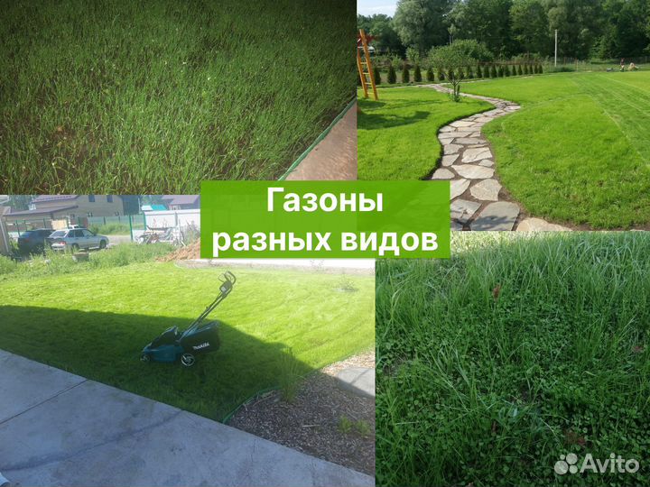 Газон семена трав